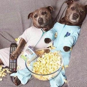 Meet your Posher, Abbey